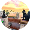 Изображение квеста 6